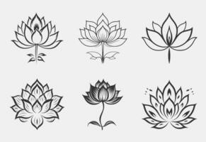Different types of Lotus Flower coloring page for adults vector