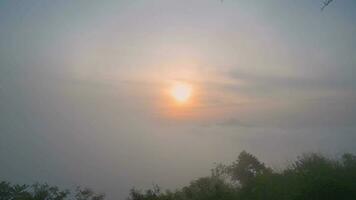 bellissimo lasso di tempo Alba con mare di nebbia nel il presto mattinata a phu ok chiang khan quartiere leoi città Tailandia. video