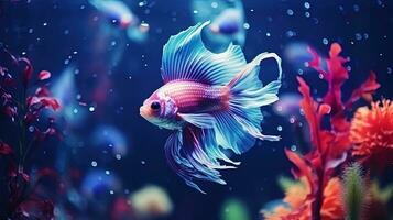 AI generated The underwater world is colorful fish in the aquarium with a game of light and shadow photo