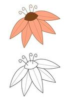 Pink flower. Flat color and black and white vector illustration.