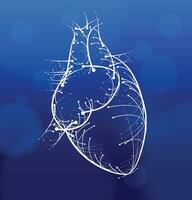 Illustration of white lines and intersection of hearts Modern style on a dark blue background. vector