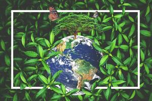 Nature background image concept.  Net-zero Emission Concept. Love the Earth, Save the Environment photo