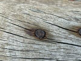 madera textura con natural patrones, antecedentes foto