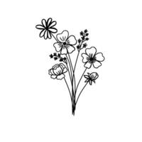 Flower Bouquet Line Drawing Cosmos With Linum And Peony Hand Drawn FLoral vector