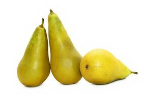 Three tasty pears on white background photo