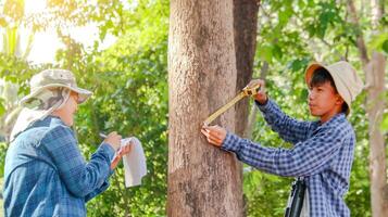 Young Asian boys are using a measure tape to measure a tree in a local park, soft and selective focus photo