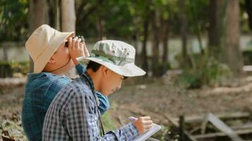 joven asiático Niños son utilizando un binocular a Estar atento para aves y animales en un local parque, suave y selectivo atención foto