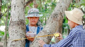 joven asiático Niños son utilizando un medida cinta a medida un árbol en un local parque, suave y selectivo atención foto