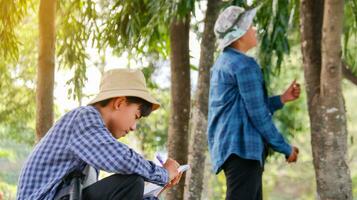 joven asiático Niños son utilizando un medida cinta a medida un árbol en un local parque, suave y selectivo atención foto