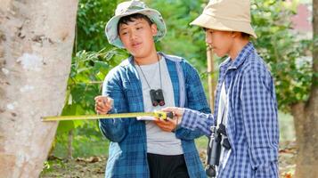 joven asiático Niños son utilizando un medida cinta a medida un árbol en un local parque, suave y selectivo atención foto