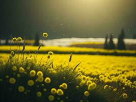 ai generado brillante campos de invierno suave atención puesta de sol prado con amarillo flores de la naturaleza abarcar. un sinfonía de colores calentar invierno puesta de sol prado con resumen suave atención naturaleza armonía. foto