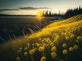 AI generated Glowing Fields of Winter Soft Focus Sunset Meadow with Yellow Flowers Nature's Embrace. A Symphony of Colors Warm Winter Sunset Meadow with Abstract Soft Focus Nature Harmony. photo