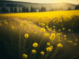 ai generado brillante campos de invierno suave atención puesta de sol prado con amarillo flores de la naturaleza abarcar. un sinfonía de colores calentar invierno puesta de sol prado con resumen suave atención naturaleza armonía. foto