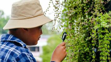 Young boy is using a small magnifying glass to inspect and to study plant in botanical garden, soft and selective focus photo