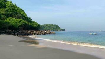 Tranquil Tropical Shoreline with Anchored Boat video