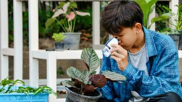 Young boy is using a white small microscope to inspect and to study plant in a tiny flowerpot in botanical garden, soft and selective focus photo