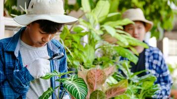 Young boy is using a small magnifying glass to inspect and to study plant in botanical garden, soft and selective focus photo