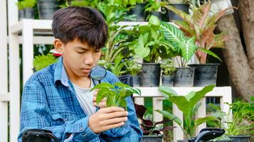 joven chico es utilizando un pequeño aumentador vaso a inspeccionar y a estudiar planta en botánico jardín, suave y selectivo atención foto