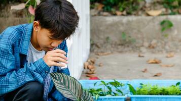 Young boy is using a white small microscope to inspect and to study plant in a tiny flowerpot in botanical garden, soft and selective focus photo