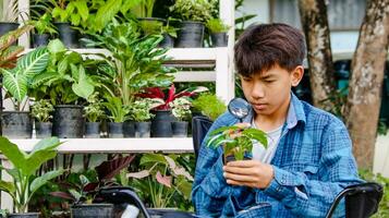 Young boy is using a small magnifying glass to inspect and to study plant in botanical garden, soft and selective focus photo