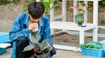 Young boy is using a white small microscope to inspect and to study plant in a tiny flowerpot in botanical garden, soft and selective focus photo