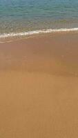 tranquille plage vagues sur d'or sables video