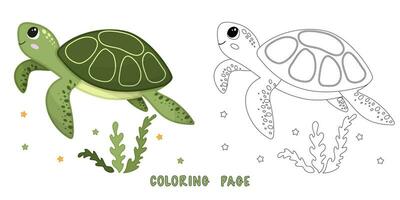Coloring page of turtle vector