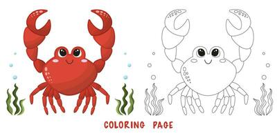 Coloring page of crab vector