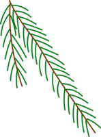 Green Pine Branch png