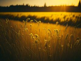 AI generated Glowing Fields of Winter Soft Focus Sunset Meadow with Yellow Flowers Nature's Embrace. A Symphony of Colors Warm Winter Sunset Meadow with Abstract Soft Focus Nature Harmony photo