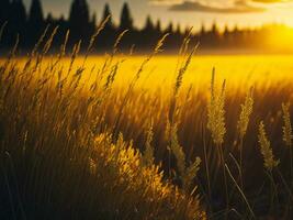 AI generated Glowing Fields of Winter Soft Focus Sunset Meadow with Yellow Flowers Nature's Embrace. A Symphony of Colors Warm Winter Sunset Meadow with Abstract Soft Focus Nature Harmony photo