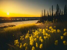 AI generated Glowing Fields of Winter Soft Focus Sunset Meadow with Yellow Flowers Nature's Embrace. A Symphony of Colors Warm Winter Sunset Meadow with Abstract Soft Focus Nature Harmony photo