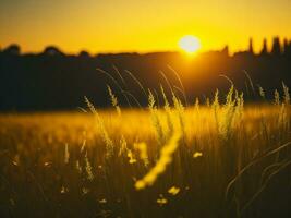 AI generated Abstract soft focus sunset field landscape of yellow flowers and grass meadow warm golden hour sunset sunrise time. Tranquil spring summer nature closeup and blurred forest background. photo