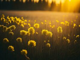 AI generated Glowing Fields of Winter Soft Focus Sunset Meadow with Yellow Flowers Nature's Embrace. A Symphony of Colors Warm Winter Sunset Meadow with Abstract Soft Focus Nature Harmony. photo