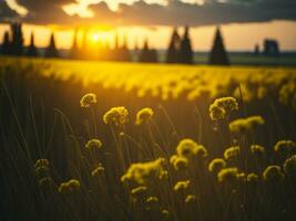 ai generado resumen suave atención puesta de sol campo paisaje de amarillo flores y césped prado calentar dorado hora puesta de sol amanecer tiempo. tranquilo primavera verano naturaleza de cerca y borroso bosque antecedentes. foto