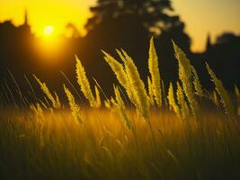 AI generated Abstract soft focus sunset field landscape of yellow flowers and grass meadow warm golden hour sunset sunrise time. Tranquil spring summer nature closeup and blurred forest background. photo