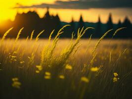 ai generado resumen suave atención puesta de sol campo paisaje de amarillo flores y césped prado calentar dorado hora puesta de sol amanecer tiempo. tranquilo primavera verano naturaleza de cerca y borroso bosque antecedentes. foto