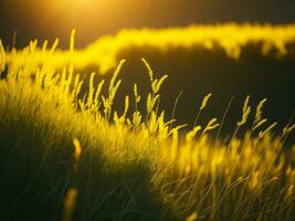 AI generated Abstract soft focus sunset field landscape of yellow flowers and grass meadow warm golden hour sunset sunrise time. Tranquil spring summer nature closeup and blurred forest background. photo