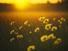 AI generated Abstract soft focus sunset field landscape of yellow flowers and grass meadow warm golden hour sunset sunrise time. Tranquil spring summer nature closeup and blurred forest background. photo