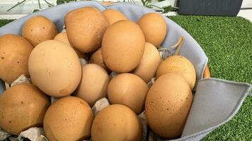 cesta de pollo huevos en un mesa terminado granja en el campo, sano orgánico huevos foto