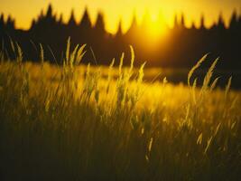 ai generado resumen suave atención puesta de sol campo paisaje de amarillo flores y césped prado calentar dorado hora puesta de sol amanecer tiempo. tranquilo primavera verano naturaleza de cerca y borroso bosque antecedentes. foto