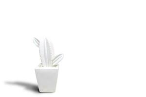 a white cactus ceramic with pompom on a colorful background. Minimal color still life photography photo