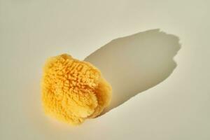 Natural sea sponge for face and body in the sun. photo