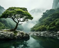 ai generado solitario árbol creciente en el medio de un selva en un brumoso día foto