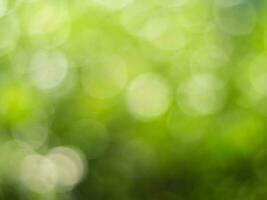 Natural outdoors bokeh background in gold sunlight with green and yellow tones, Blurred light and leaf background with bokeh photo