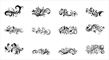 Ornate Script  Floral Calligraphic Set, Decorative and Elegantly Lettered vector