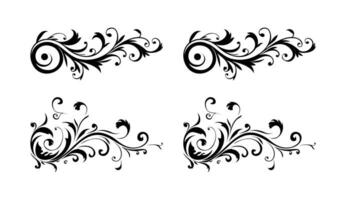 floral elegancia caligráfico conjunto con florido decorativo letras y gráficos vector