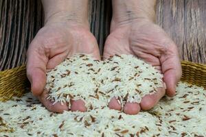 Brown bowl full of dry white jasmine rice grains. Hands full of fresh white jasmine rice grains. Healthy eating and vegetarian concept. photo