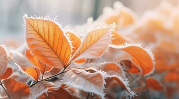 ai generado naranja haya hojas cubierto con escarcha en tarde otoño o temprano invierno. foto