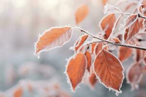 AI generated Orange beech leaves covered with frost in late fall or early winter. photo